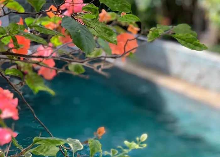 Villa Petra Bali Seminyak